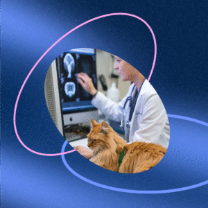 Anipath&trade; AI-powered Histopathology Pet Cancer